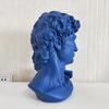 Nordic Resin Bust: David, Venus, Apollo Colored Statue Ornament