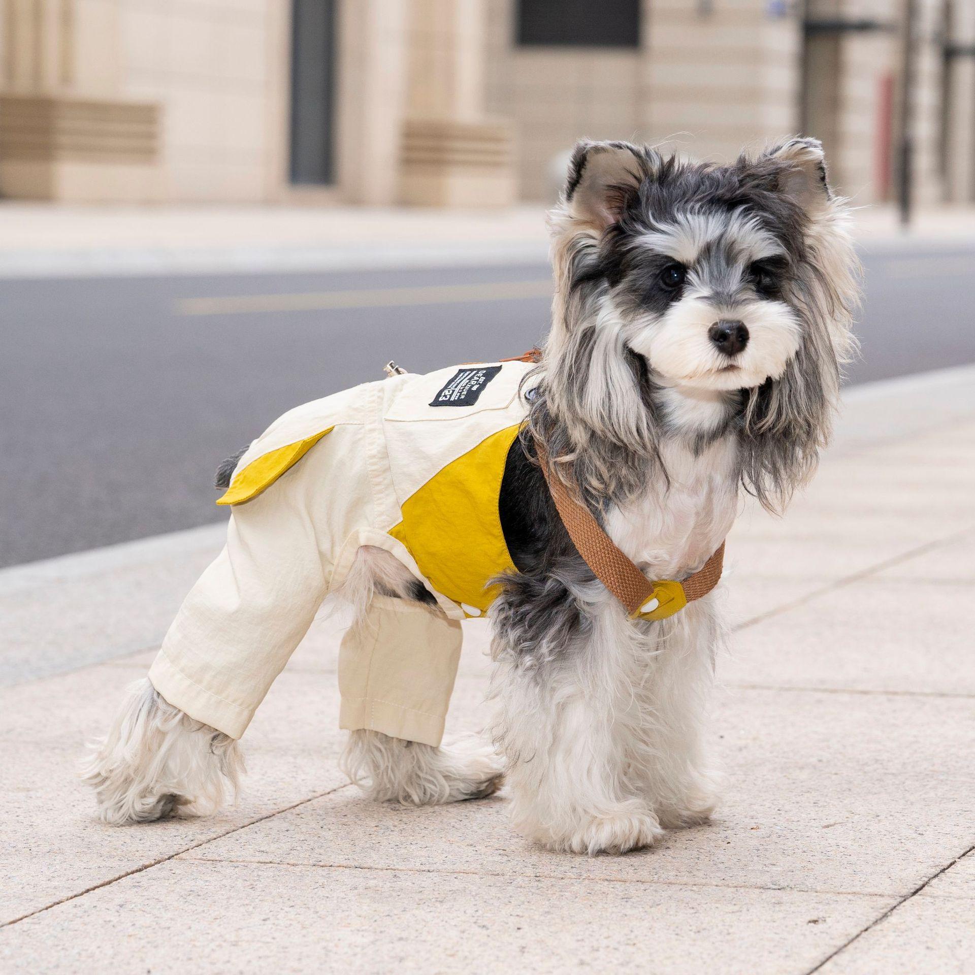 Pet Spring Strap Pants Cute Sunscreen and Anti Stain Outing Four Legged Pants Puppy Clothes Dog Pajamas (as the picture,S)
