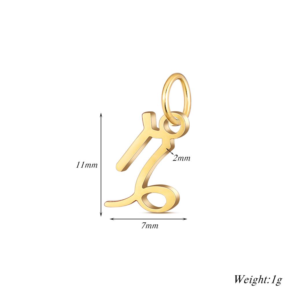 Wholesale 6pcs/lot 12 Constellation Zodiac Charm Pendant Stainless Steel High Quality DIY Jewelry Making Accessories
