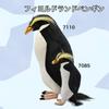 BH7110 HANSA Fiordland Penguin 42