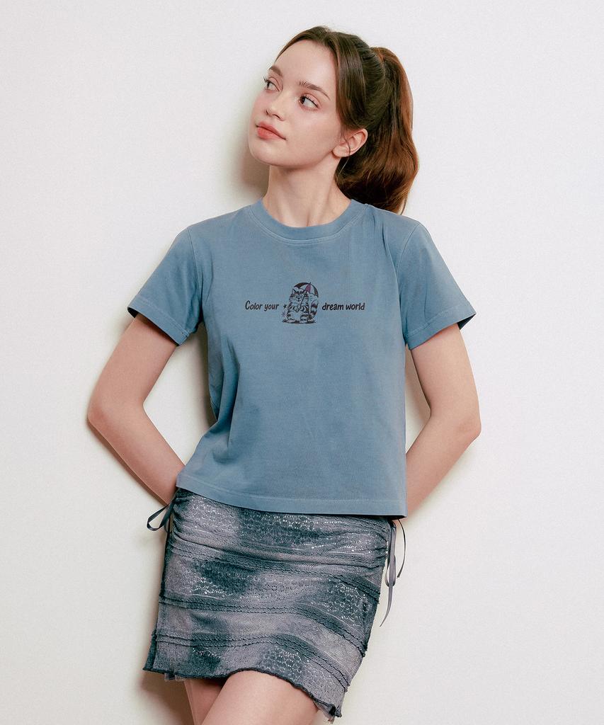 WILDROCK Hollysheesh Dream Coloring Cat Pigment Oversized Short Sleeve T-Shirt_6 Colors (Crop Included) (Type A)