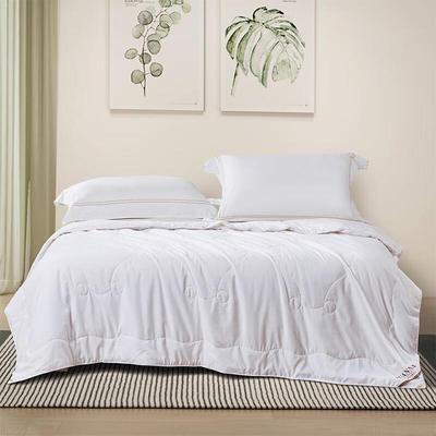 Yayue Tussah Silk Summer Quilt