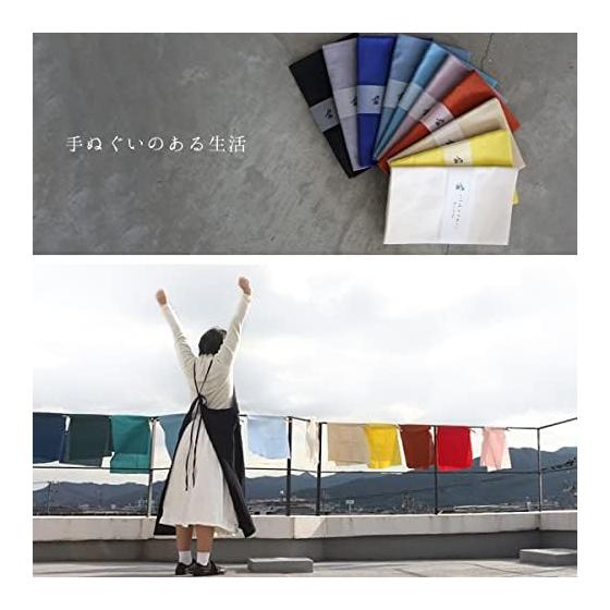 KOMESICHI Tenugui (Japanese Hand Towel) - Set of 5 Solid Color Iroha Pattern, 100% Cotton, Made In Japan, Fray-Resistant, 87x33cm, H Pattern, Plain