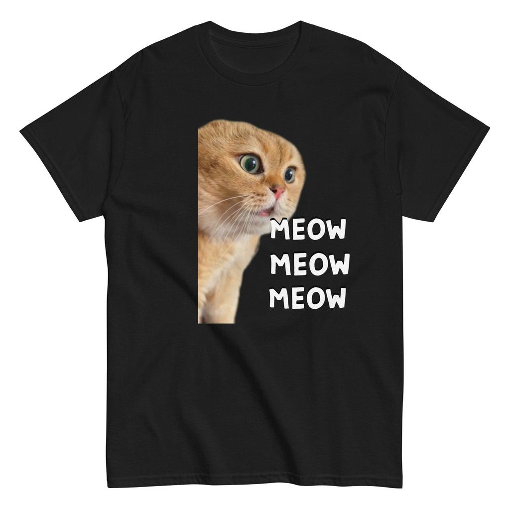 Talking Meme Cat, Viral Video, Funny Cat