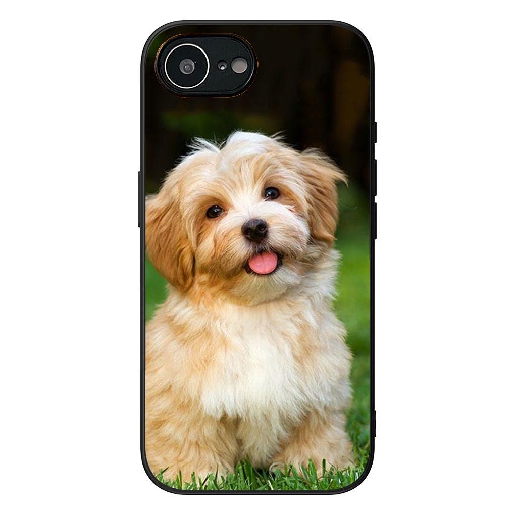 Soft Cover for Apple iPhone 13 12 Mini XS 11 Pro Max 7 8 Plus + XR SE 2022 2020 SE3 Coque Phone Case Pomeranian Poodle Dog
