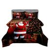 Digital Print Santa Claus Series Microfiber Comforter Set - 3 Piece Bedding Cover Set