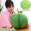 Simulated Watermelon Throw Pillow Blanket Creative Fruit Plush Toy Two-In-One Air Conditioner Blanket Cushion For Children And Women