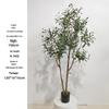 Olive Tree Potted Plant - Indoor Decor Simulation for Living Room