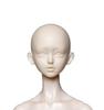 EVE DOLL WEI Scale Resin Doll Head & [Aurora] 1/6