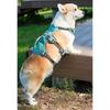 Reflective Vest Dog Harness Adjustable Design Nylon Pet Vest Protective Reflective Pet Harness  Pug