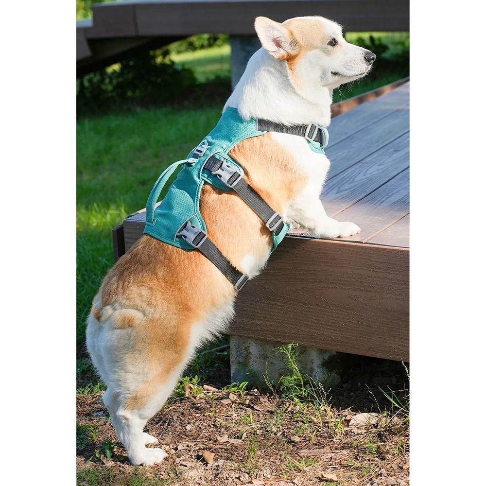 Reflective Vest Dog Harness Adjustable Design Nylon Pet Vest Protective Reflective Pet Harness Pug