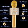 JSS EVN Karaoke Microphone System Handheld USB Rechargeable Portable Speaker Silver with English Manual