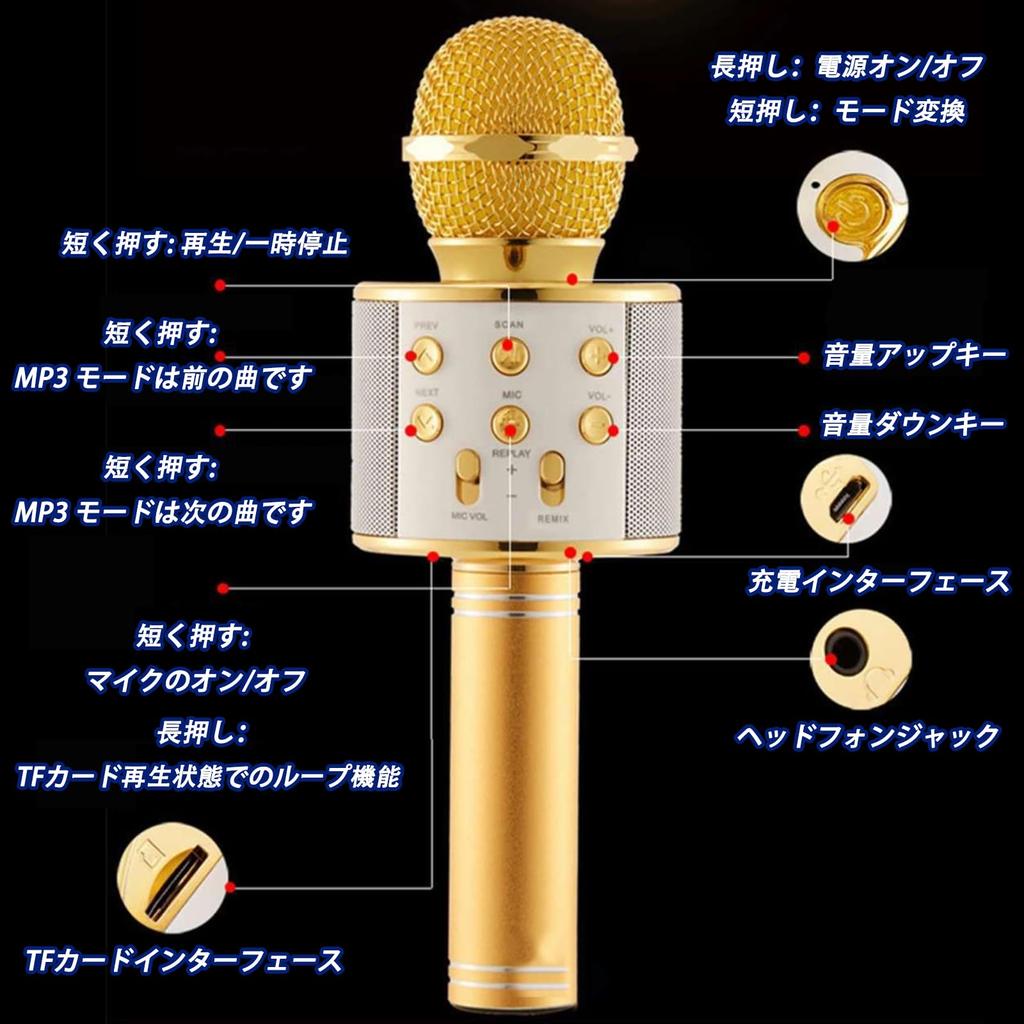 JSS EVN Karaoke Microphone System Handheld USB Rechargeable Portable Speaker Silver with English Manual