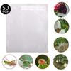 50Pcs Grape Protect Bag Vegetable Fruit Net Against Mesh Bag Pouch Insect Kits For Home Garden Accessory In Stock Wholesale