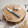 STEEL PEELING KNIFE BERLINGER HAUS 9.5cm BH-2827