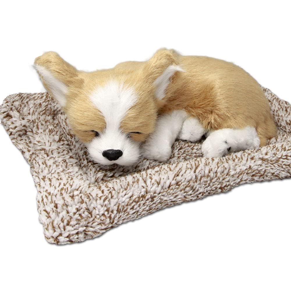 

TATOTTE Realistic Plush Dog Figurine with a Cute Sleeping Activated Charcoal Soothing Decor Face, Included, (Chihuahua CR)