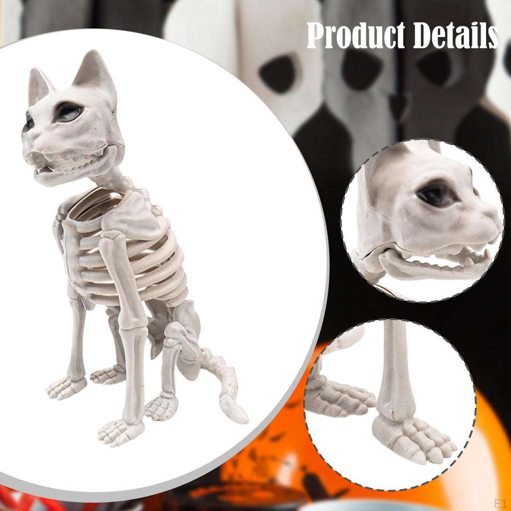 Sitting Cat Skeleton Halloween Decoration Animal Bone Prop Creepy for Educational Model Multipurpose