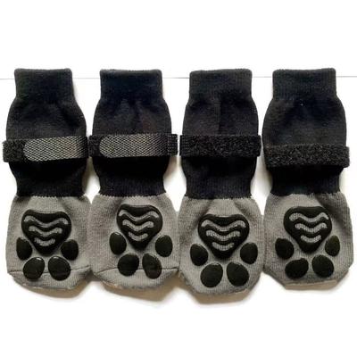 Ropa y calzado – Zapatos para perros
