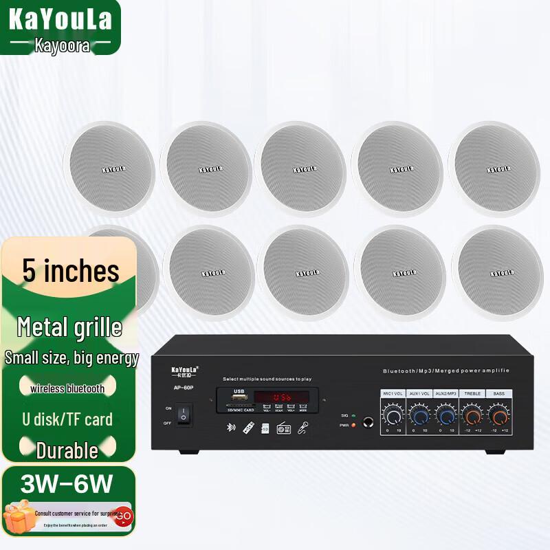 

KaYouLa Conference Audio Video System with 5-inch Ceiling Speakers (CN version)