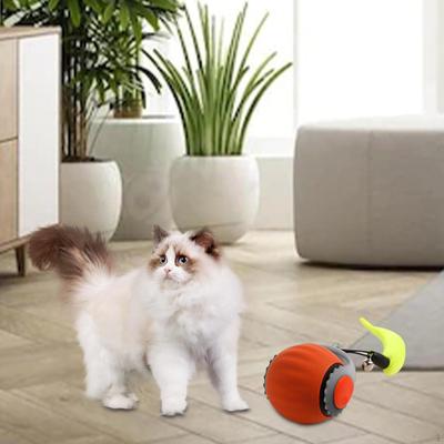 Cat Interactive Toy Ball ,Pet Sprint Funny Indoor Exercise Tail Rolling Intelligent