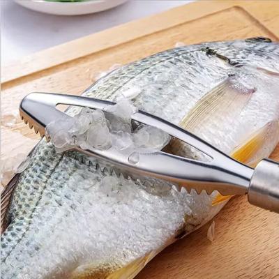 Râpes à écailles de poisson en acier inoxydable Nettoyeur rapide Brosse pour enlever la peau Grattoir de nettoyage Éplucheur écailleur d'os Pince outil