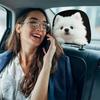 Cute Pomeranian Print Car Headrest Covers | Easy-to-Install and Wash