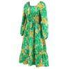 Spring and Autumn Women's Long Sleeve Printed Dress Slim Temperament Mid-Length Dresses