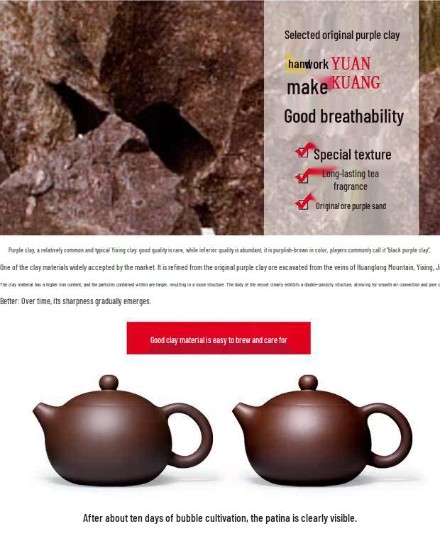 Handmade 120ml Yixing Zisha Xi Shi Teapot for Gongfu Tea