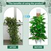 Plastic Plant Stand Reusable Climbing Plants Guardian Unique Garden Support Accessories