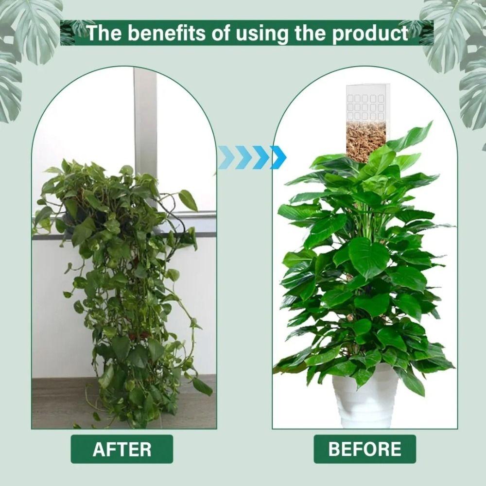 Plastic Plant Stand Reusable Climbing Plants Guardian Unique Garden Support Accessories