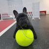 9.5 Inch Tennis Ball Large Dog Tennis Ball Pet Balls for Dogs for Outdoor/Indoor Sports Dog Gift Training Supplies