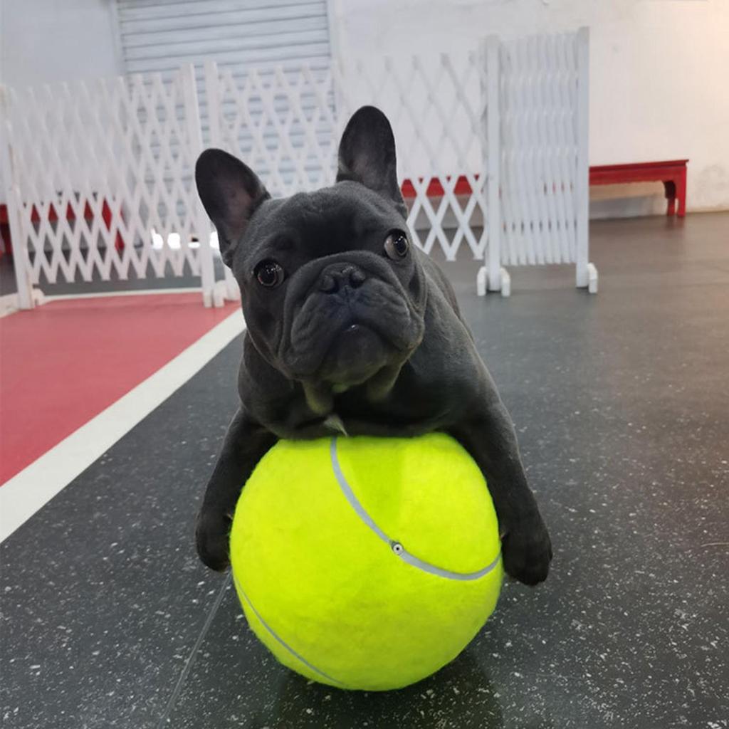 9.5 Inch Tennis Ball Large Dog Tennis Ball Pet Balls for Dogs for Outdoor/Indoor Sports Dog Gift Training Supplies