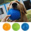 Haustier Hund Spielzeug Katze Welpen Sounding Spielzeug Polka Quietschende Zahn Reinigung Ball TPR Ausbildung Haustier Zähne Kauen Spielzeug Dornen bälle Zubehör