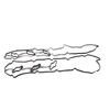 Engine Valve Cover Gasket Left and Right For Kia Sedona AMANTI Hyundai SONATA AZERA  22441-110 22453110 22441110