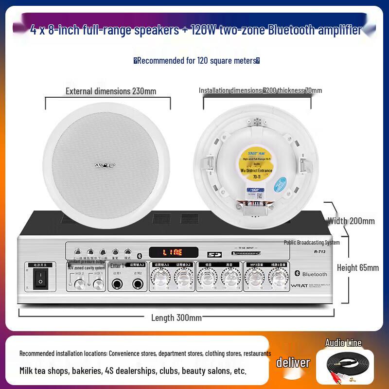 SAST 8-inch In-Ceiling Speaker