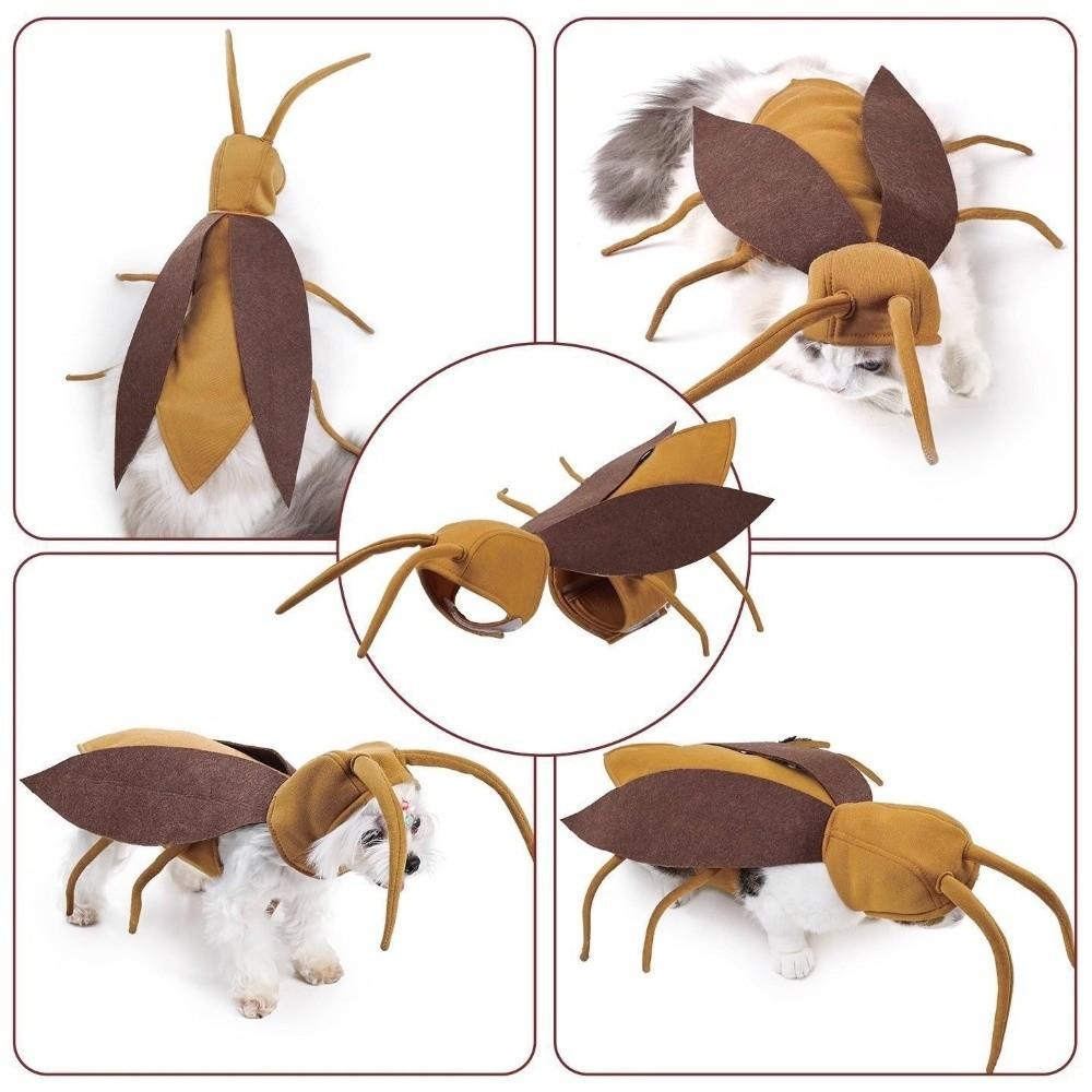 Realistic Pet Transformation Costumes with Wing Costume Pranks Outfit Small Dogs