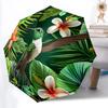 1pc Hummingbird Tropical Automatic Open/close, Heavy-Duty Iron Frame & 8-Rib Structure, Compact Folding Umbrella for Women/Men, All-Season Travel