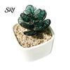 Small Desktop Ornament Mini Glass Planter Ornaments Exquisite Craftsmanship Bright Colorful Handmade Office Desk Decoration Texture for Bedroom Living