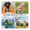 LaRoo Teddy Dog Dental Toy, Small Dog Chew Toy Durable, Round Frisbee 18cm Stress Relief for Pet Intelligence Training (Small and Medium Dogs),