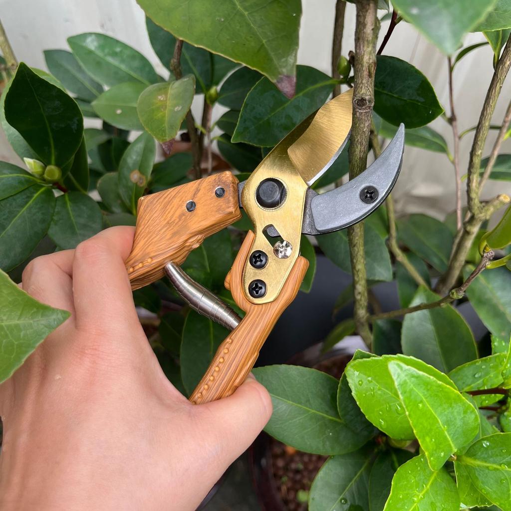 SK5 Steel Twocolor Blade Gardening Shears Bypass Pruning Scissors Heavy Duty Pruning Manual Pruning GardenTool Wood Pattern