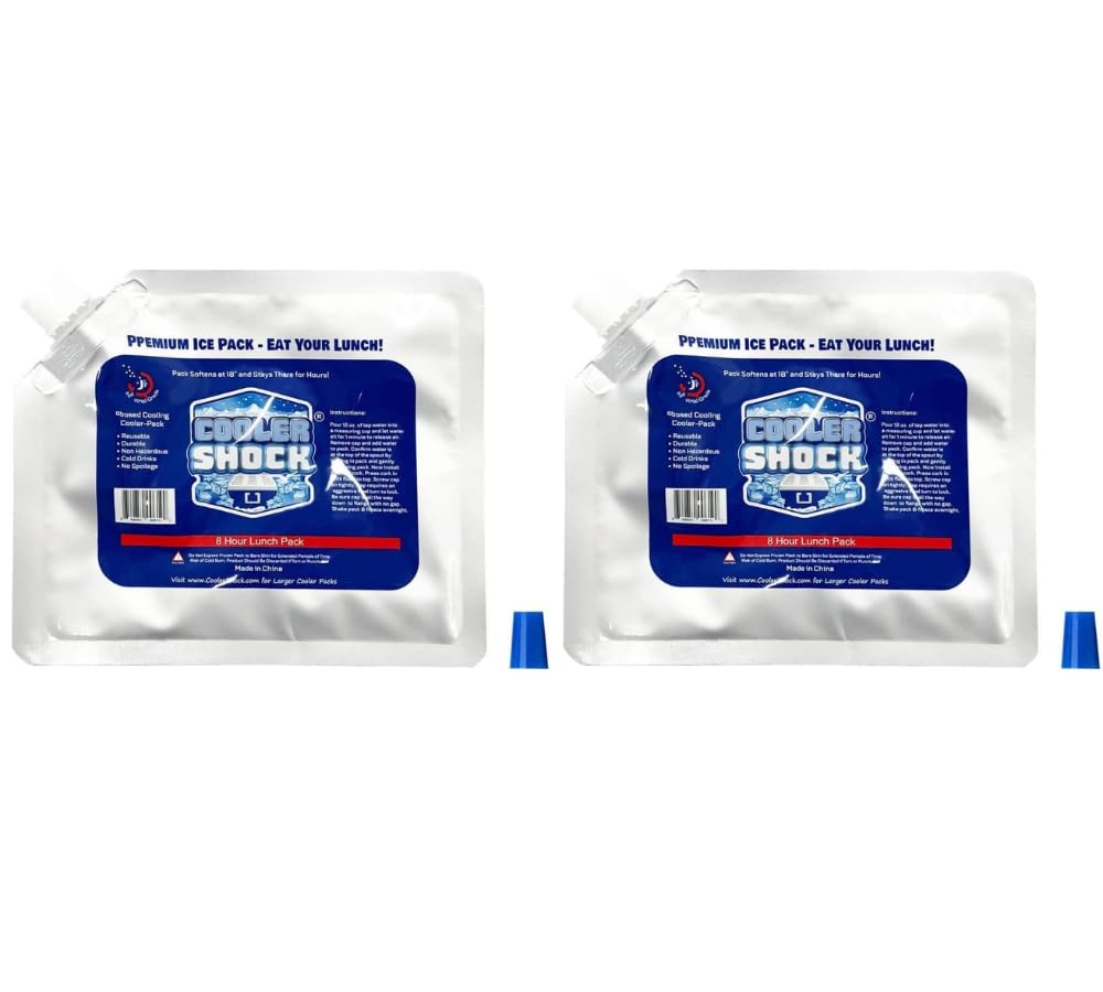 COOLER SHOCK Ice Set of 2 Packs, Small,