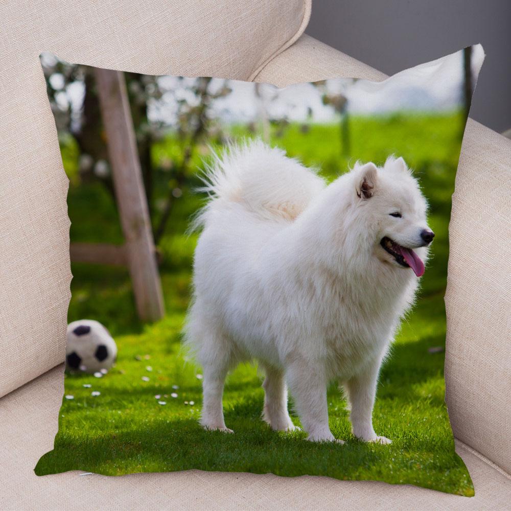 50 Stil Husă de Pernă Câine Alb Drăguț Samoyed Decor Husă de Pernă Animal de Companie Iubitor Husă de Pernă Moale de Pluș pentru Canapé Cameră Copii