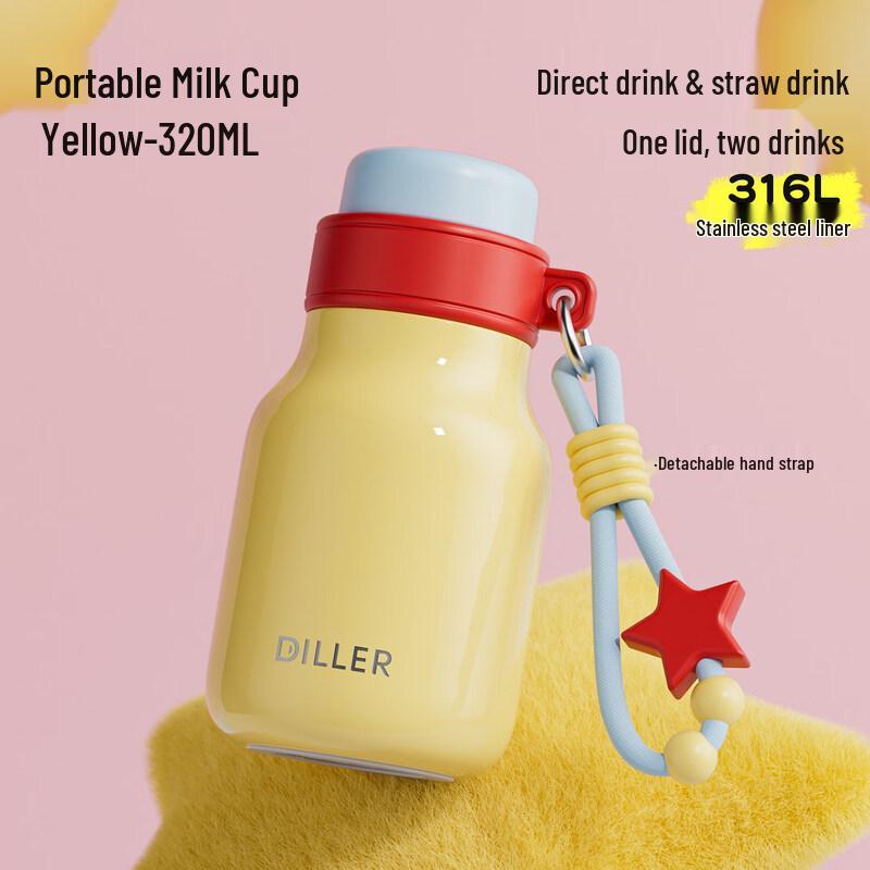 Diller 316 Stainless Steel Insulated Bottle