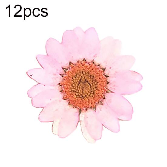 12 sztuk Prasowane Suszone Naturalne Kwiaty Żywica Epoksydowa Crafting Paznokci DIY Dekoracja Telefonu