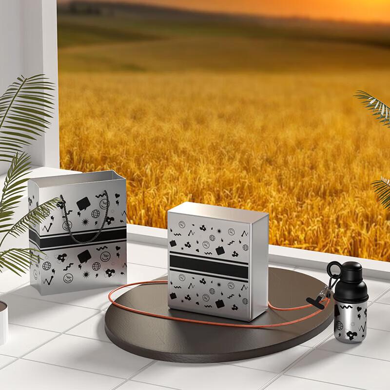 FW-T856 Outdoor Cold Brew Insulated Tumbler