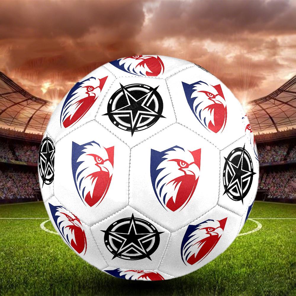 1PC Eagle Shield Emblem Star Compass Soccer Ball Size 5 Football Machine Sewn Indoor/Outdoor Universal Football S20