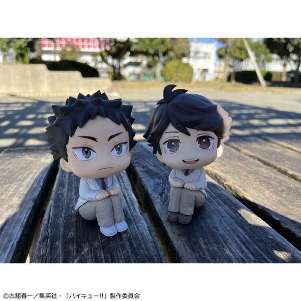 Haikyu   Look Up Haikyu   Hajime Iwaizumi  Reissue 