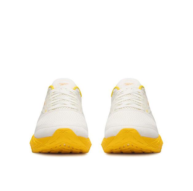 Мужские кроссовки Reebok Floatzig 1 100212133 белый