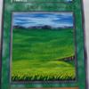 Used Yu-Gi-Oh! Early Grassland