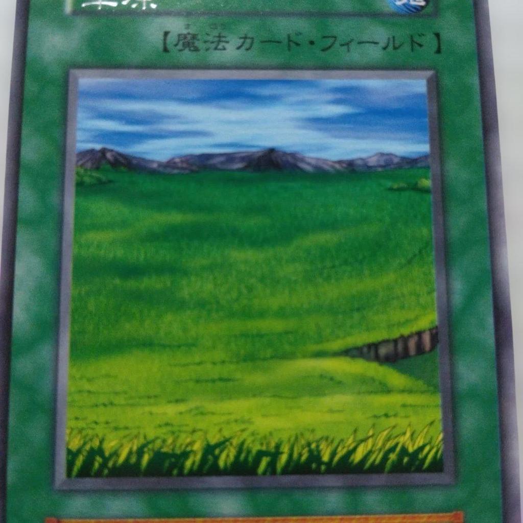 Used Yu-Gi-Oh! Early Grassland
